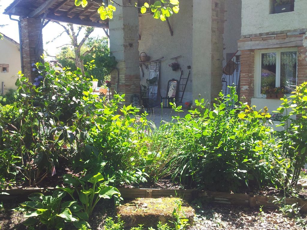 Le Clos De Saint Amour Montauban Eksteriør billede
